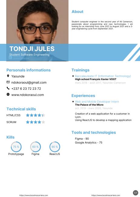 Resume created with template ResumeBlueGraphique