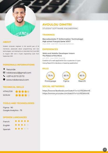 Resume created with template YellowResumeDirector